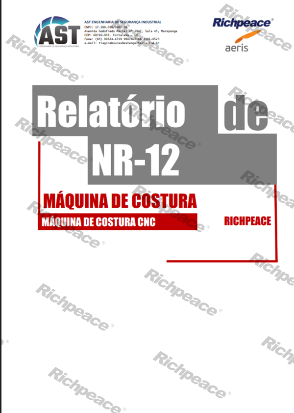 Relatório?-?Máquina?de?Costura?-?REV2（檢測(cè)報(bào)告）